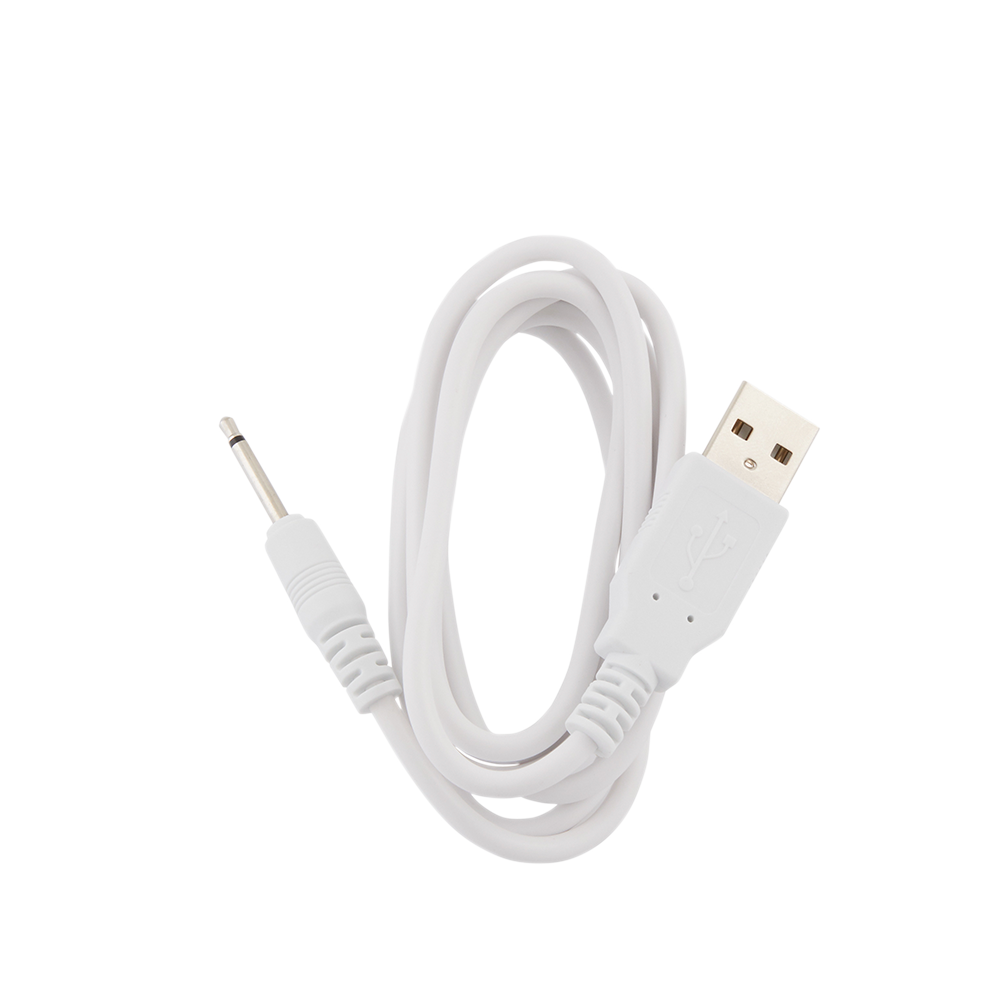 4002-CABLE?PMD Clean Pro & PMD Clean Body Charging Cord